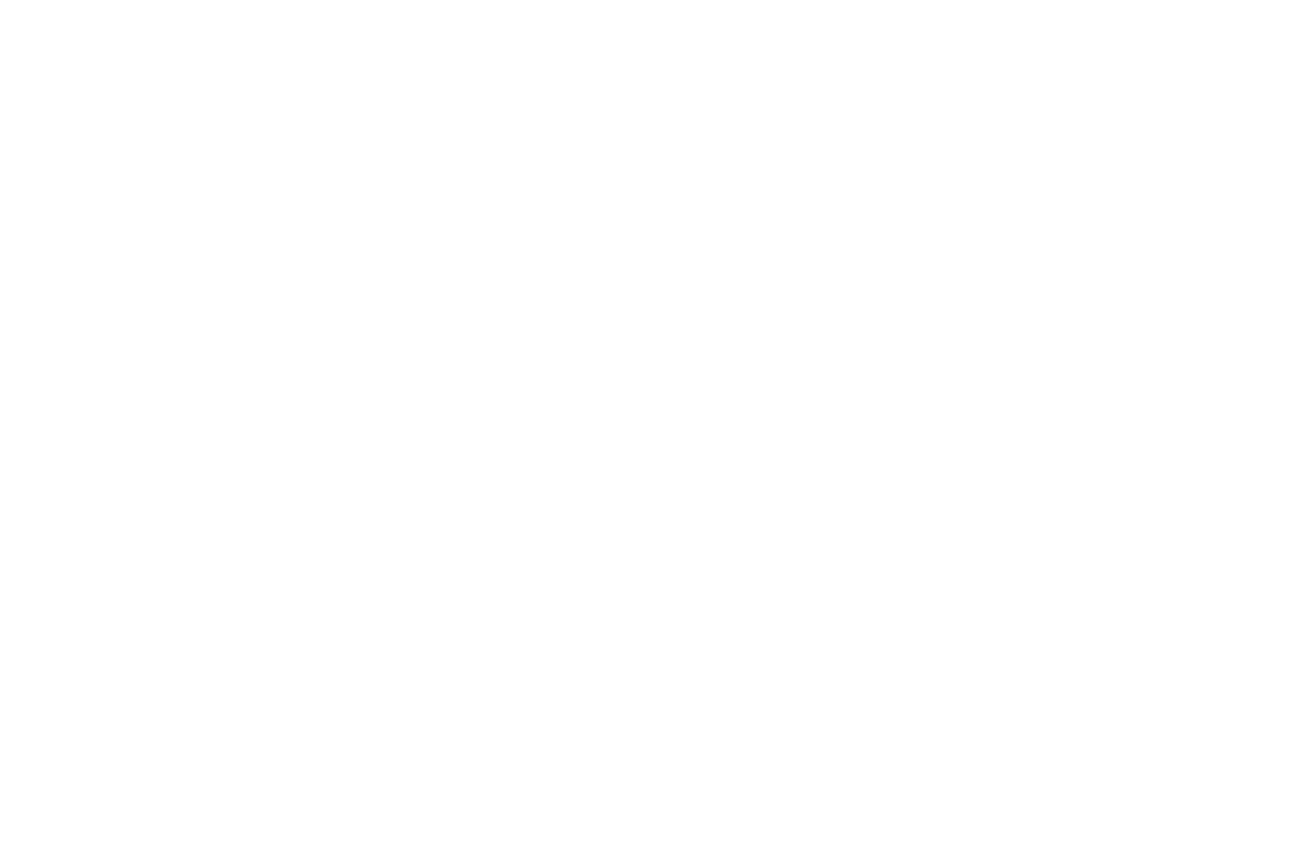 Main logo