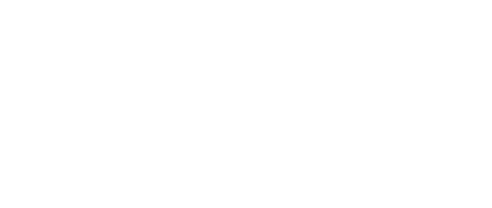 НВМ 1